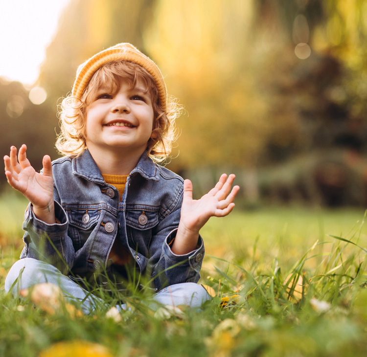 学习能力提升计划